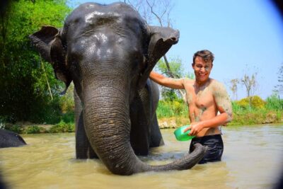 Phuket: Elephant Save & Care Program Tour - Morning or afternoon: the timeline that keeps the day from feeling chaotic