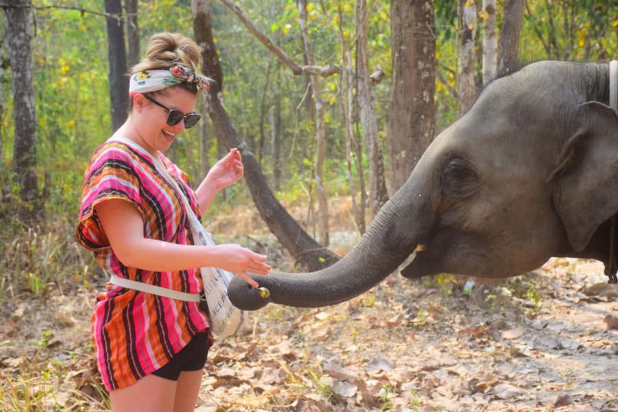 Phuket: Elephant Save & Care Program Tour - The herb mix mud spa: why the scrub is part of “care,” not a trick
