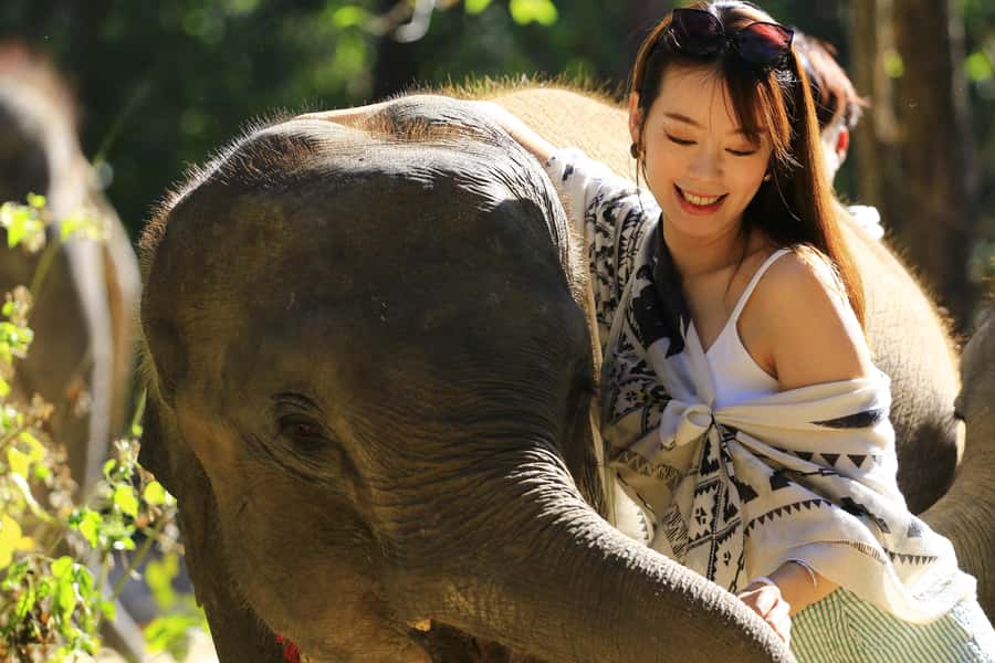 Phuket: Elephant Save & Care Program Tour - Lunch box and the photo experience: what’s included and what might cost extra