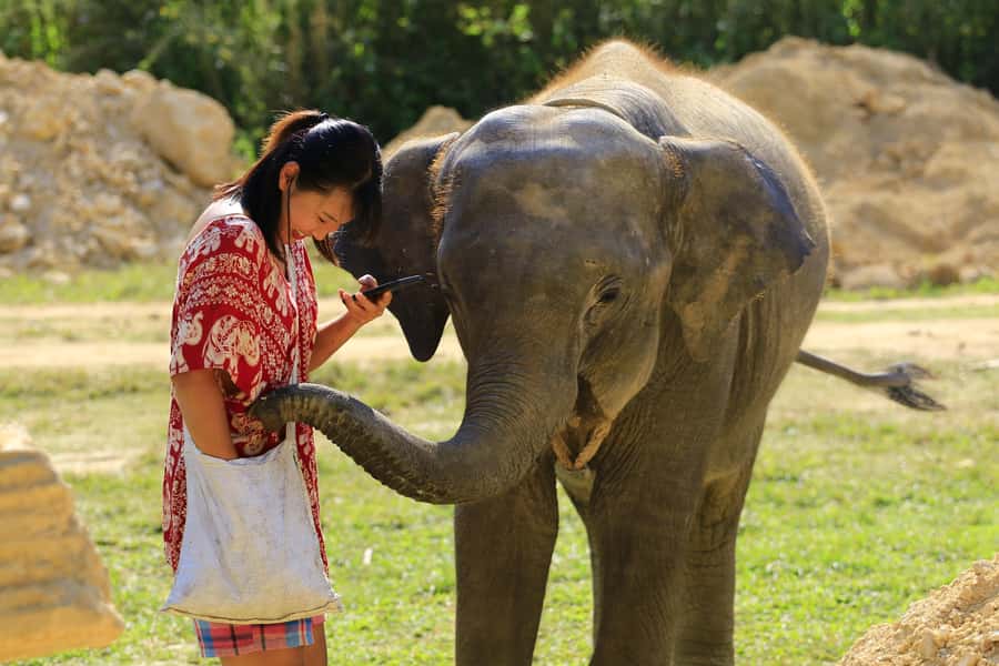 Phuket: Elephant Save & Care Program Tour - Who this tour is best for (and who should think twice)