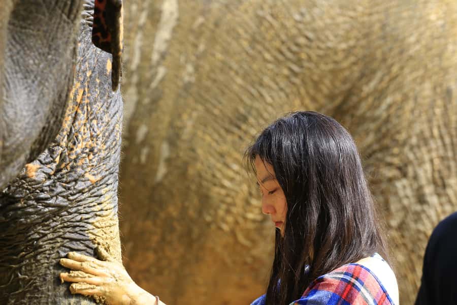 Phuket: Elephant Save & Care Program Tour - Things to bring so your day stays fun instead of stressful