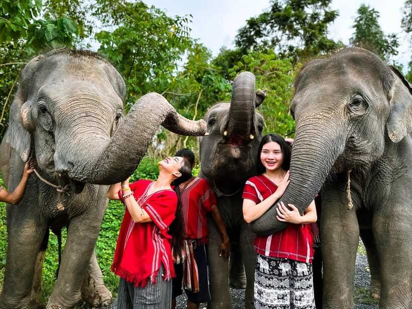 Phuket : Experience feeding and bathing elephants 1.5 Hrs. - Feeding baby elephants and vitamins: the part that feels personal