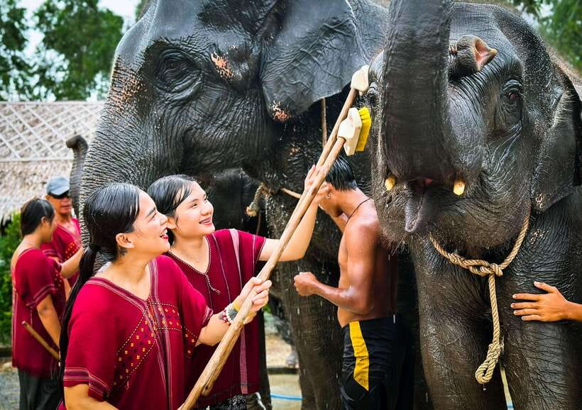 Phuket : Experience feeding and bathing elephants 1.5 Hrs. - Thai herbs and Karen culture: the calm, educational interlude