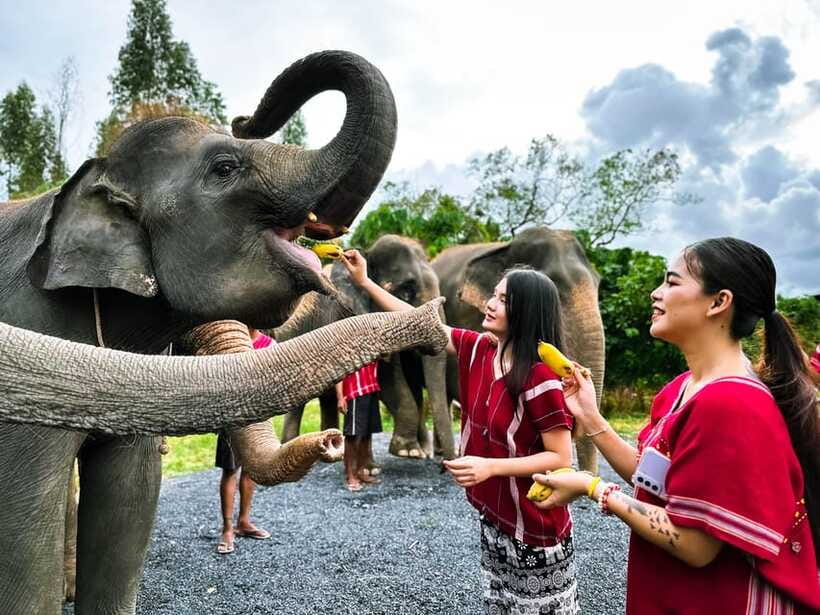 Phuket : Experience feeding and bathing elephants 1.5 Hrs. - Bathing and water play: where you’ll get soaked