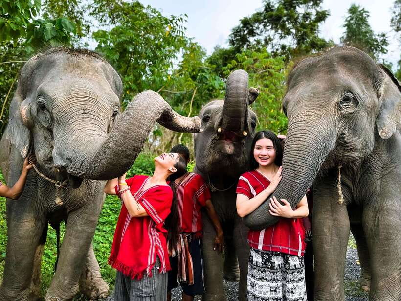 Phuket : Experience feeding and bathing elephants 1.5 Hrs. - The 1.5-hour elephant window (plus real Phuket traffic time)