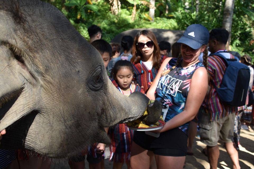 Phuket: Half Day or 2-Hour Ethical Elephant Care Sanctuary - Key highlights to know before you go