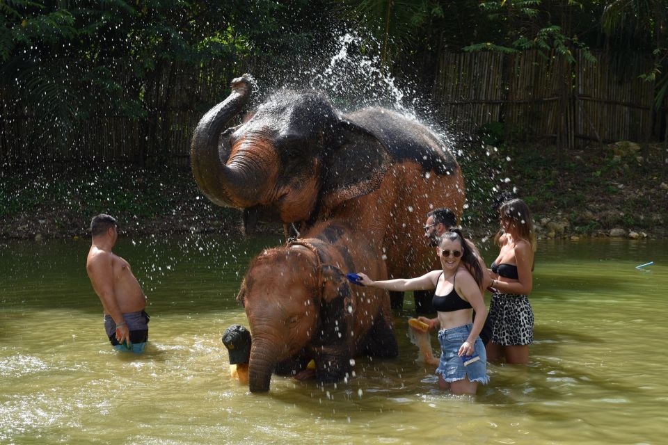 Phuket: Half Day or 2-Hour Ethical Elephant Care Sanctuary - Getting to the park: transfers, shared pickup, and timing reality