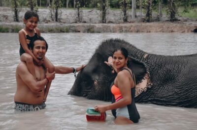 Phuket: Half Day or 2-Hour Ethical Elephant Care Sanctuary - Two schedules: 2-hour feeding vs half-day mud spa