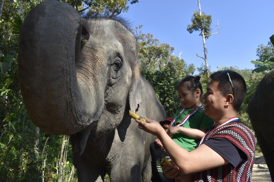 Phuket: Half Day or 2-Hour Ethical Elephant Care Sanctuary - First contact at the sanctuary: food prep and elephant behavior