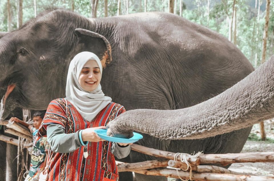 Phuket: Half Day or 2-Hour Ethical Elephant Care Sanctuary - Thai cooking class and meals: more than filler