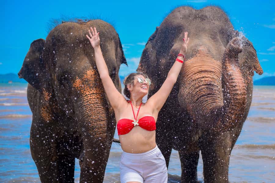 Phuket: Lily Elephant Half day Trip on the Beach with lunch - Beachside Elephant Encounters in Phuket: What Makes This One Worth Your Time