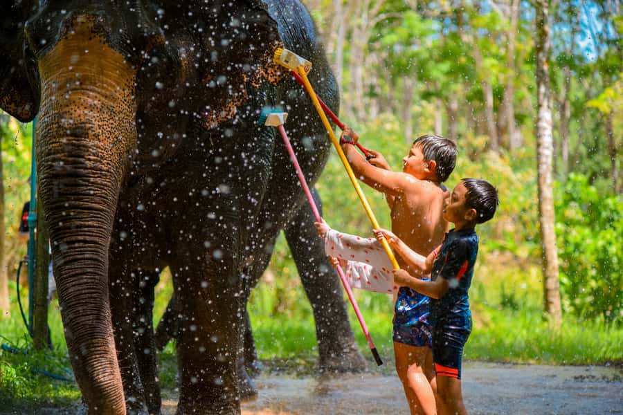 Phuket: Lily Elephant Half day Trip on the Beach with lunch - Walking to a Private Beach: The Moment It Turns Into Sea-Bathing