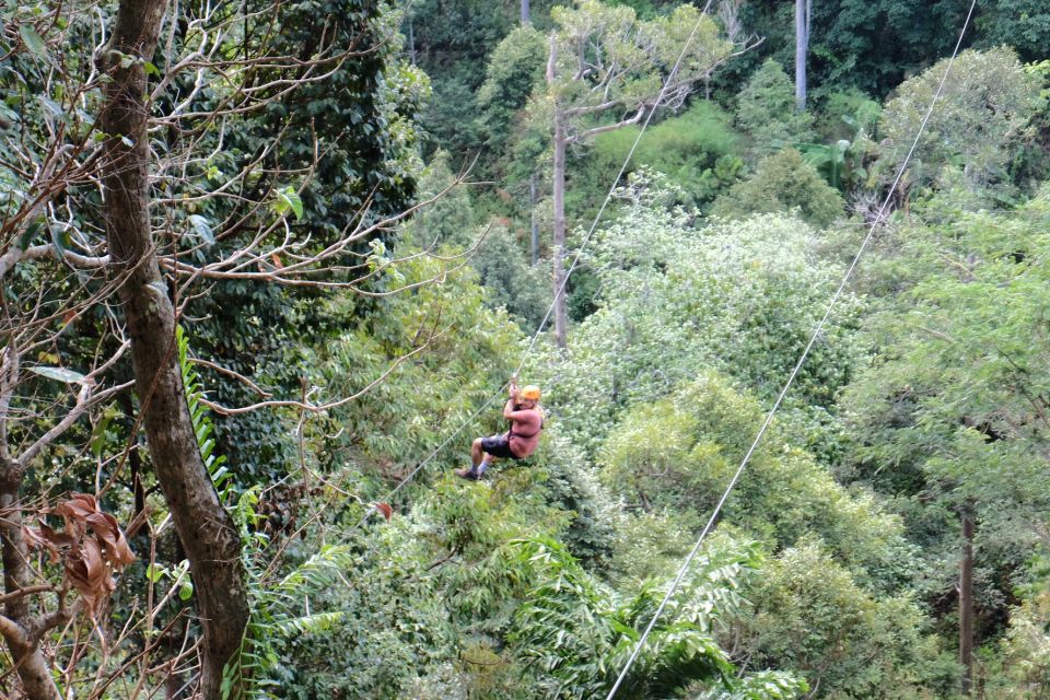 Phuket: Paradise Jungle Zipline Adventure - Price and value: is $32 really fair?