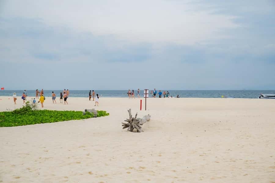 Phuket: Phi Phi, Bamboo & Maithon by Premium Speed Catamaran - Monkey Beach: fast photo viewing, not a beach landing