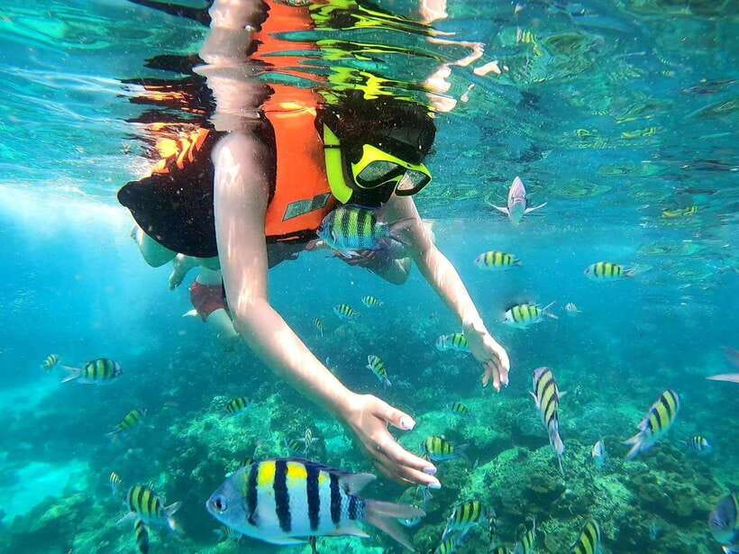 Phuket: Phi Phi Islands and Maya Bay Day Trip with Lunch - Pileh Lagoon: swimming, jumping, and the clear-kayak style fun