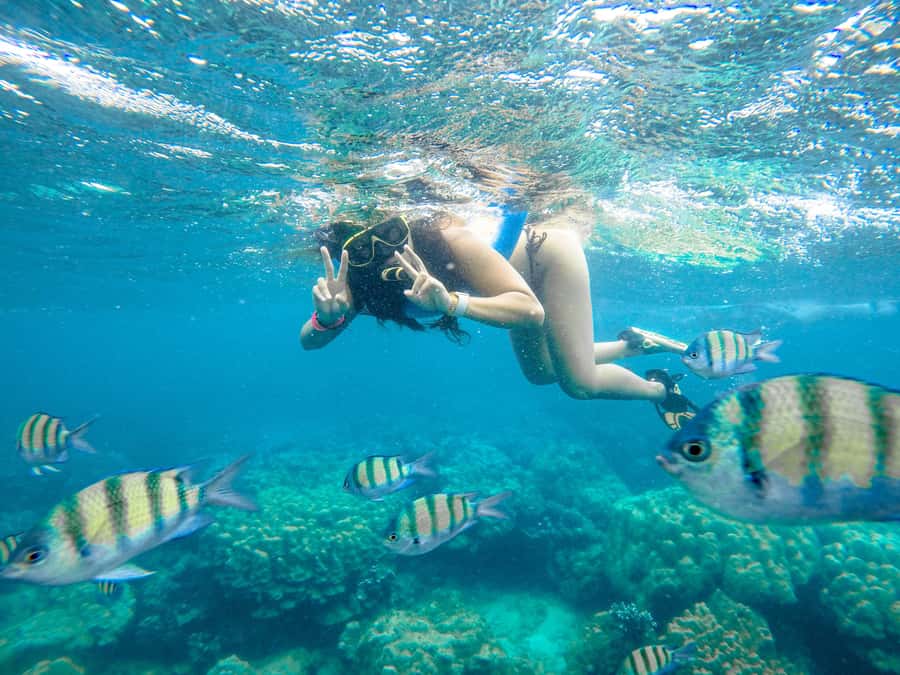 Phuket: Phi Phi Sunrise Boat Tour to Bamboo and Khai Island - Maya Bay: Hollywood Beach Photos Without the Fuss