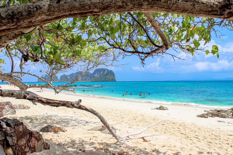 Phuket: Phi Phi Sunrise Boat Tour to Bamboo and Khai Island - Monkey Beach: Wildlife Sightings From the Boat (and the Right Attitude)