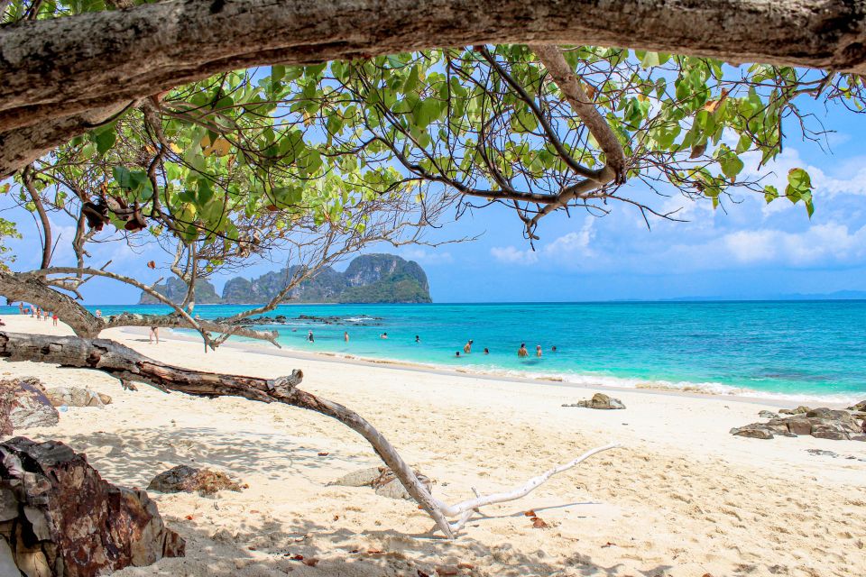 Phuket: Phi Phi Sunrise Boat Tour to Bamboo and Khai Island - Phi Phi Holiday Resort Lunch: The Value Hidden in the Meal