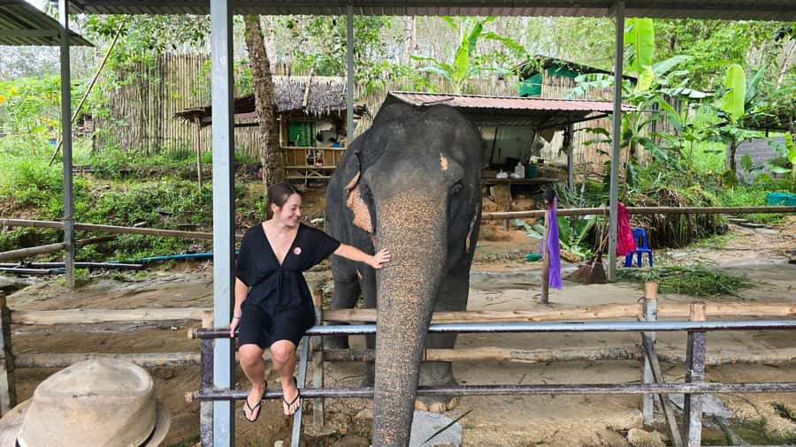 Phuket: Phuket Elephant Care Sanctuary ECO Tour - Where This Phuket Elephant Sanctuary Tour Fits on Your Trip