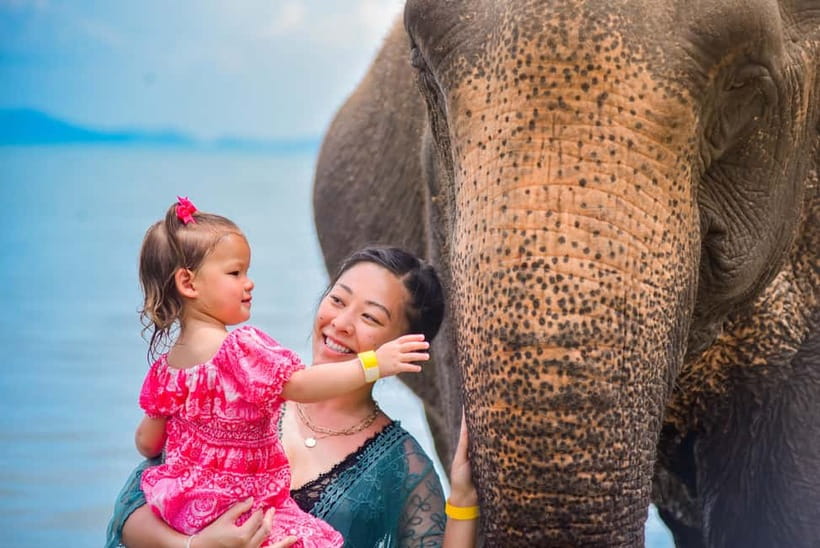Phuket:Beach walk with elephants, rain & care. 2.5 hours - Key points before you go