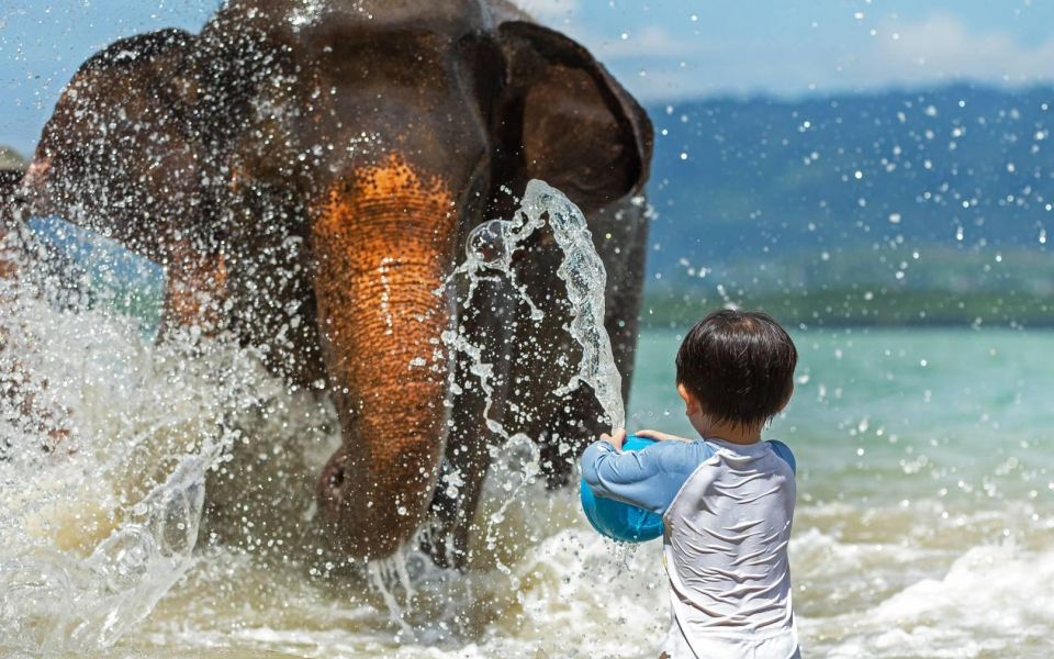 Phuket:Beach walk with elephants, rain & care. 2.5 hours - Who this elephant experience is best for