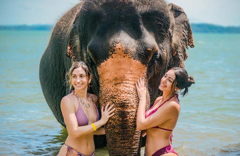 Phuket:Beach walk with elephants, rain & care. 2.5 hours - Why Lily Elephant Camp feels different in Phuket