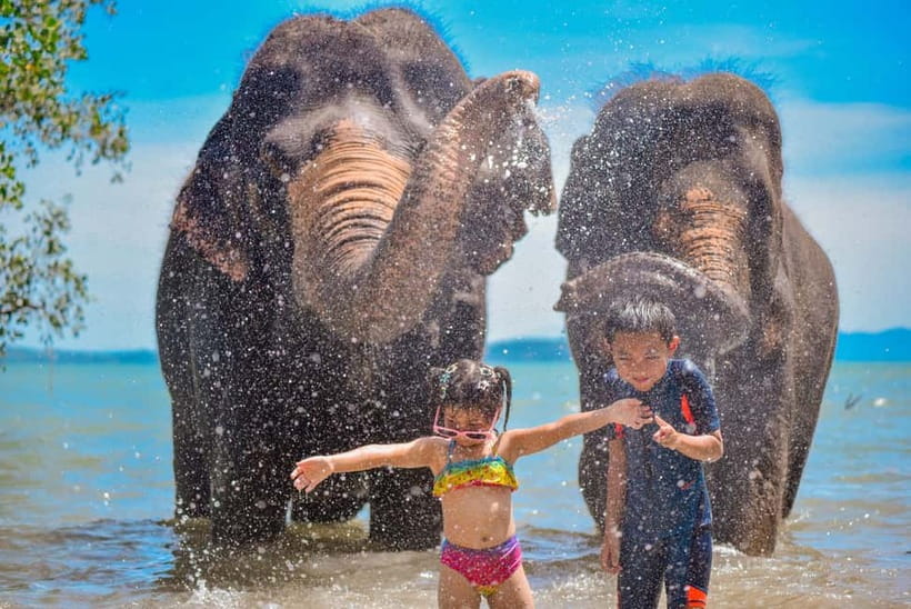 Phuket:Beach walk with elephants, rain & care. 2.5 hours - The jungle walk and feeding in their natural habitat
