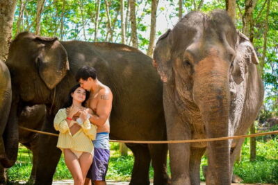 Phuket:Beach walk with elephants, rain & care. 2.5 hours - 150 minutes with elephants: the full flow