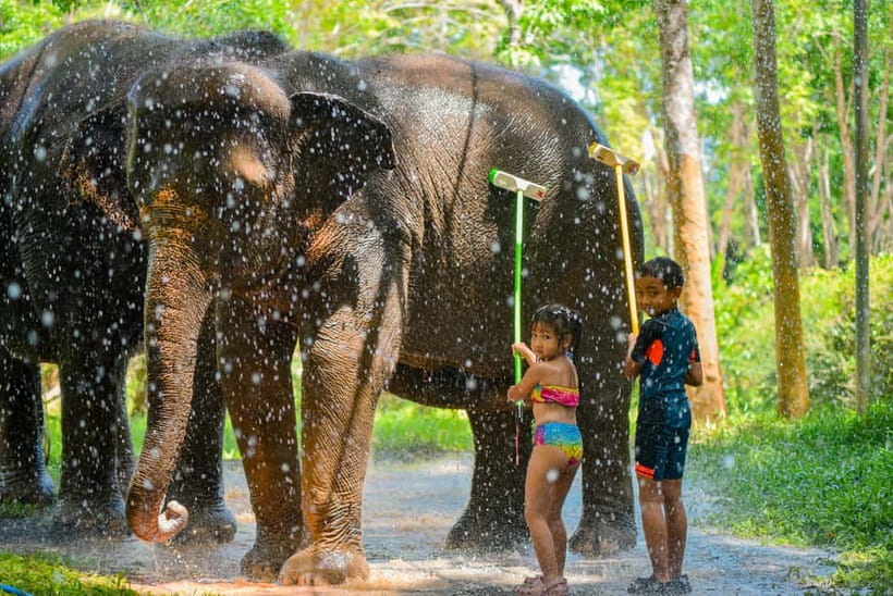 Phuket:Beach walk with elephants, rain & care. 2.5 hours - Rain, vitamin balls, and what “care work” looks like