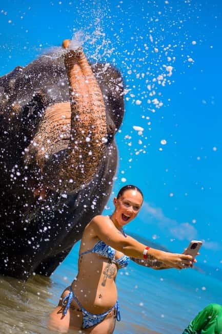 Phuket:Beach walk with elephants, rain & care. 2.5 hours - Ethics and elephant history: what to keep in mind