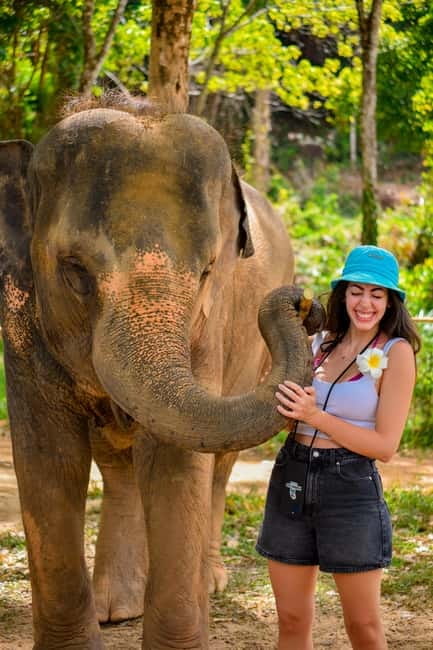 Phuket:Beach walk with elephants, rain & care. 2.5 hours - Price and logistics: what you’re really paying for