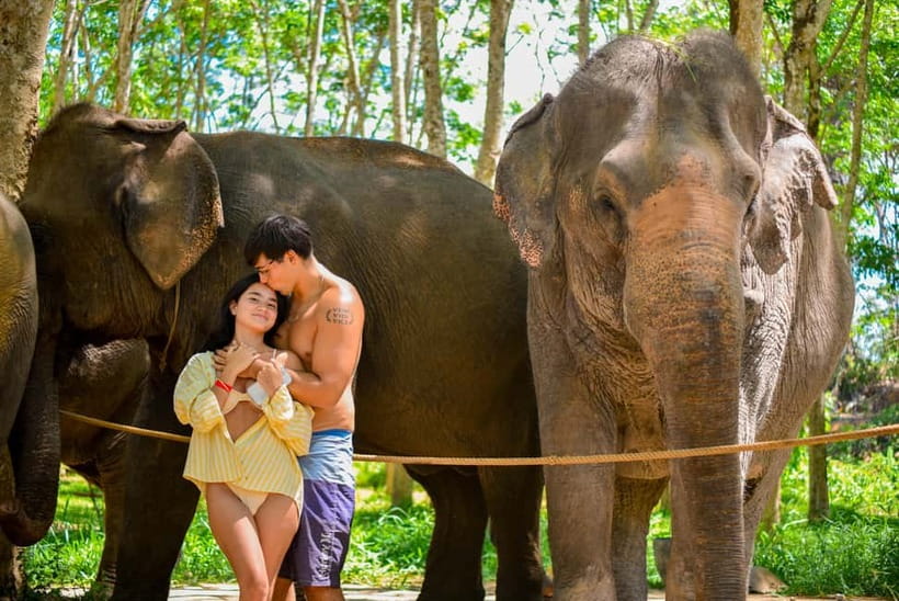 Phuket:Beach walk with elephants, rain & care. 2.5 hours - 150 minutes with elephants: the full flow