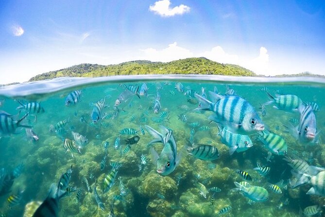 Pig Island Tour by Speedboat with Snorkeling - What to Pack So the Day Doesn’t Go Sideways
