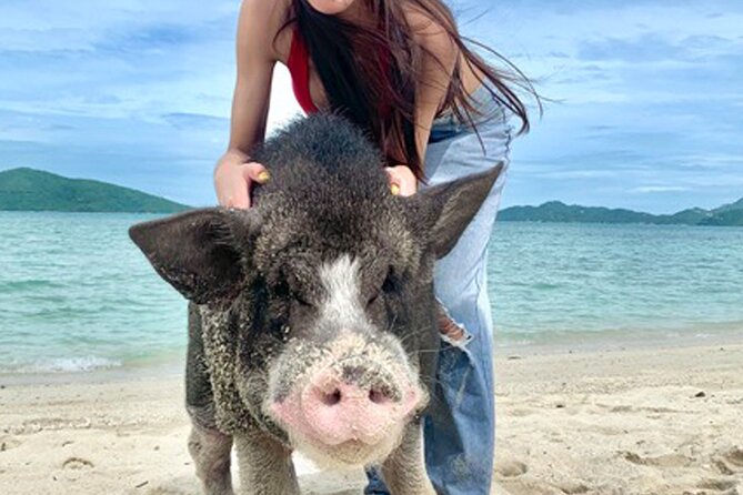 Pig Island Tour by Speedboat with Snorkeling - Stop 1: Koh Madsum (Pig Island) and the Best Way to Spend Your Time