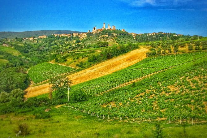 Pisa and Cinque Terre Day Trip from Florence in a Small Group - Safety on trains and in Pisa: how to reduce your risk