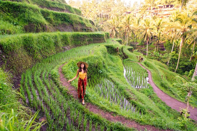 Private Day Tour: The Highlight of Ubud - Sacred Monkey Forest Sanctuary: up close with long-tailed macaques