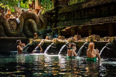 Private Day Tour: The Highlight of Ubud - Tirta Empul Temple: holy spring bathing, not just a photo stop