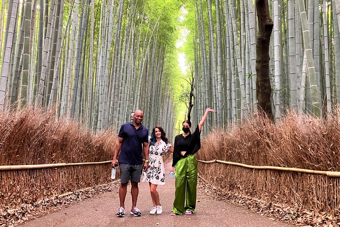 Private Kyoto Tour with Licensed Guide & Vehicle (Max 15 persons) - Higashiyama vibe day: Gion, Nishiki Market, Kiyomizu-dera, Pontocho