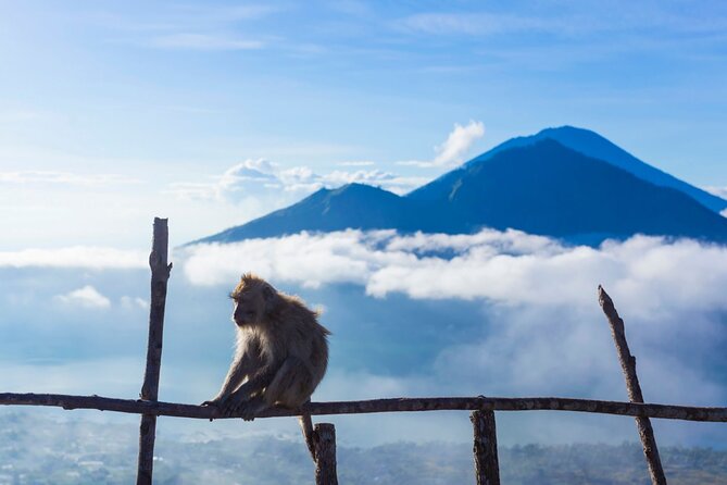 Private Mount Batur Sunrise Trekking Tour - Exploring the Crater Area and the Summit Pause