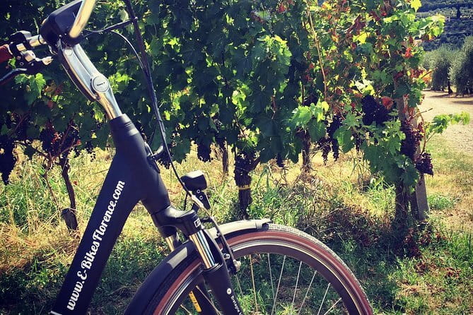 Private Self-Guided E-Bike Ride in Tuscany with Vineyard Visit - Quick take: what makes this Tuscany e-bike day work