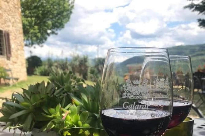 Private Self-Guided E-Bike Ride in Tuscany with Vineyard Visit - The boutique vineyard near the Arno: wine tasting and what to budget