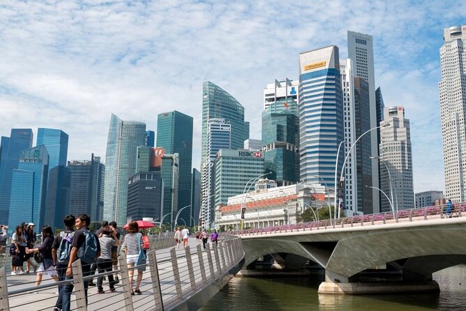 Private Singapore Tour with a Local, Highlights & Hidden Gems 100% Personalised - Gardens by the Bay: Supertrees and Cloud Forest, with ticket reality