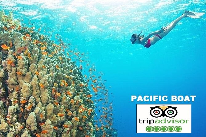 REAL snorkel &island hopping by SPEEDBOAT-EXPLORE CUISINES(MAX12) - Stop 1: Kim Quý Island and why it’s the reef-focused favorite
