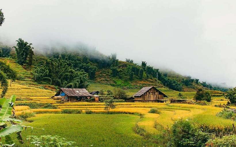 Sa Pa: Muong Hoa Valley Trek and Local Ethnic Villages - Price and Value: What $23 Buys You (and What It Doesn’t)