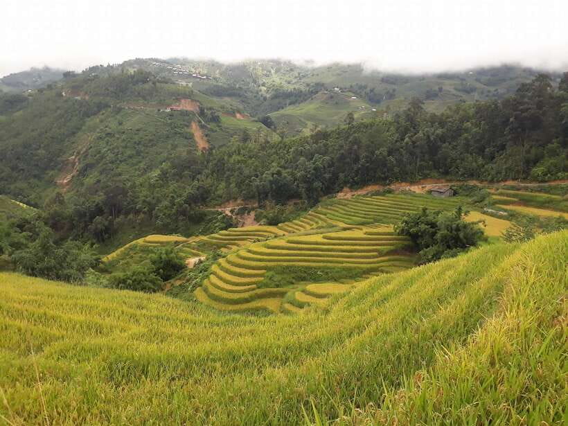 Sa Pa: Muong Hoa Valley Trek and Local Ethnic Villages - The First Stretch: Rice Terraces, the Muong Hoa River, and Lao Chai