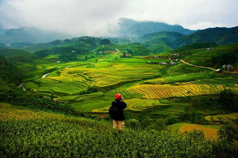 Sa Pa: Muong Hoa Valley Trek and Local Ethnic Villages - Ta Van Giay, the Suspension Bridge, and Ancient Rock Carvings