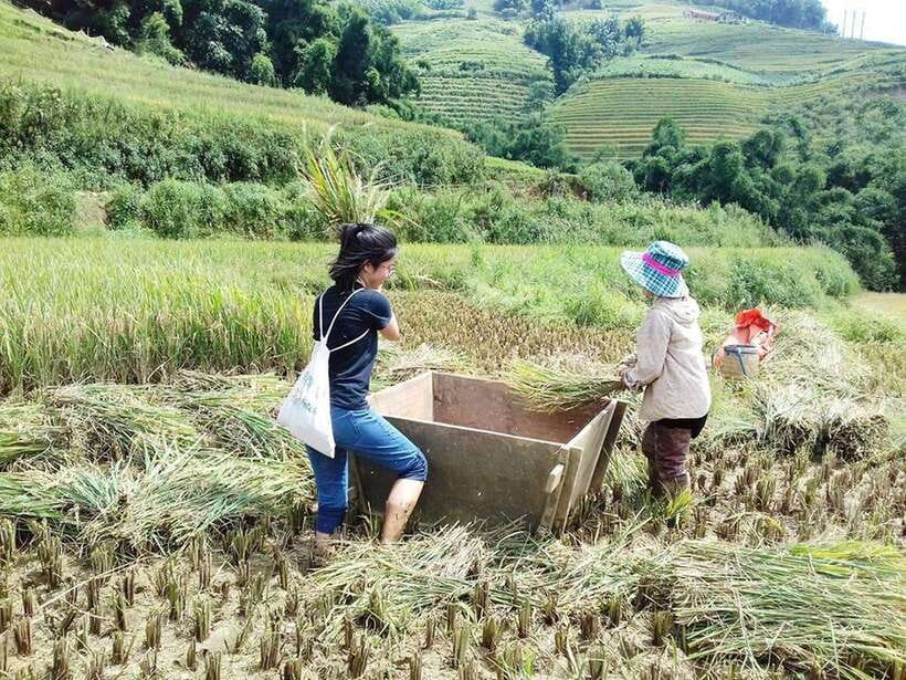 Sa Pa: Muong Hoa Valley Trek and Local Ethnic Villages - Timing and Pickup: How the 6 Hours Will Fit Your Day