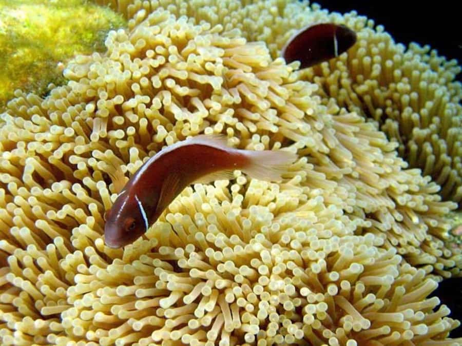 Samui: Angthong National Marine Park Day Trip by Speedboat - Thai Buffet Lunch and Beach Time: Fuel Before the Climb