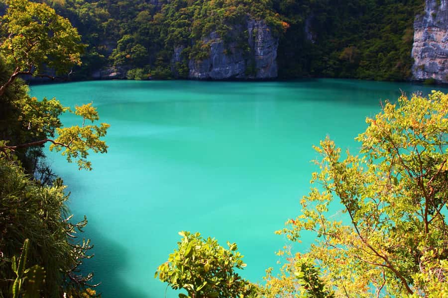 Samui: Angthong National Marine Park Day Trip by Speedboat - Hiking to Angthong Viewpoints: The Workout Part That Pays Off