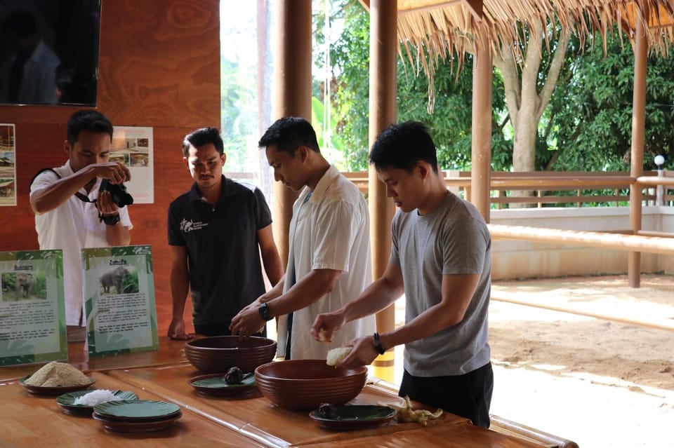 Samui: Elephant Nutrition and Care Education Experience - Who should book this on Koh Samui